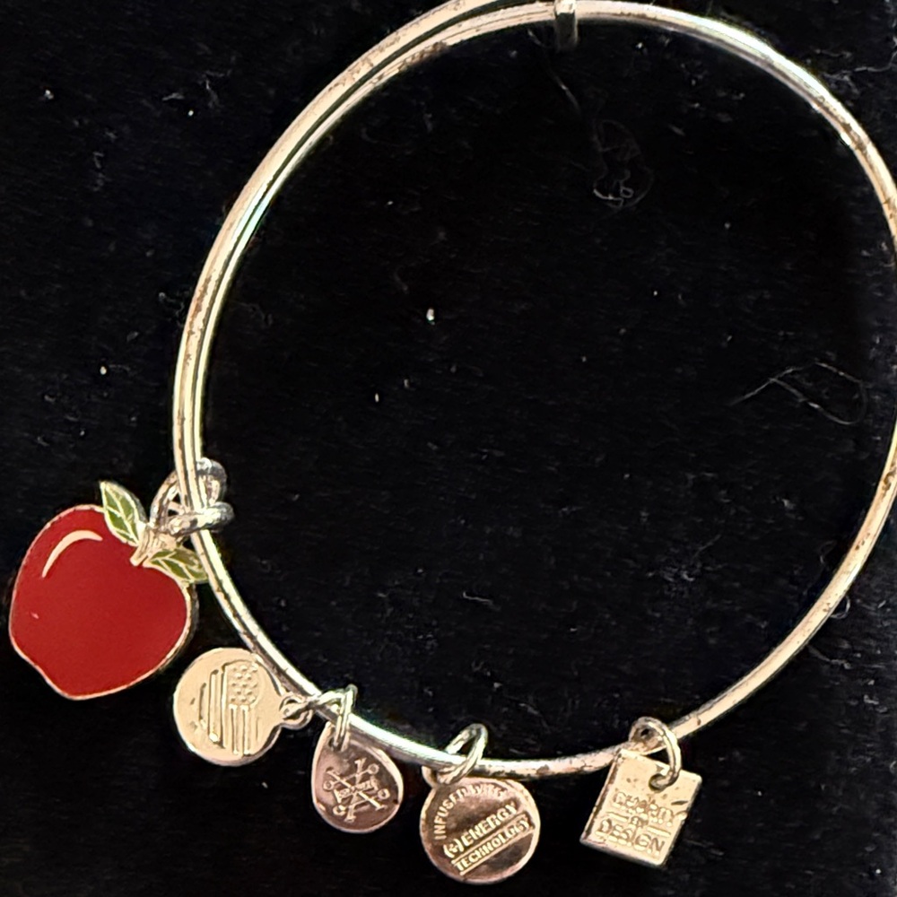 Alex n Ani Silver Charm Bracelet with Red Apple Pendant